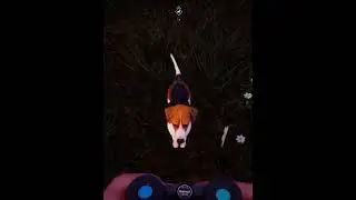 Помощь новичкам в игре 