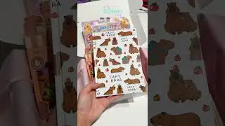 #mimibox