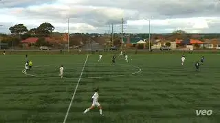 Npl May 2024 Highlights- Angus Fraser