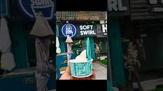 Ultimate Soft Swirl Ice Cream Parlor Adventure | Exquisite Flavors and Treats | Food Vlog