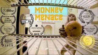 Monkey Menace Documentary CROWDFUNDER