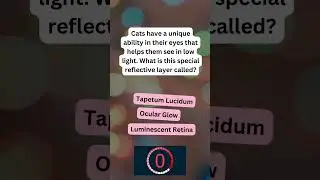 🐾 Can You Guess? Fun Cat Facts Challenge! 🤔 | Test Your Feline Knowledge!