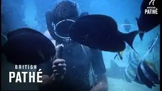Durban Aquarium (1963)