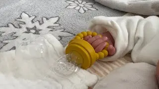 Obakha fruit pacifier and teether