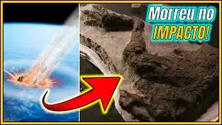 O ÚLTIMO DIA dos DINOSSAUROS NÃO-AVIANOS na TERRA!