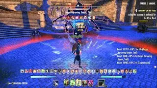 Stam warden 122k rele kinra kilt valkyn 2h high isle 2min 52sec