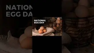 Happy National Egg Day! 🥚 🐣 🍳 🥚 🥚 🥚 #nationaleggday #eggday