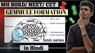 Gemmule Formation | Class 12 Biology | NEET & Board Exam Preparation