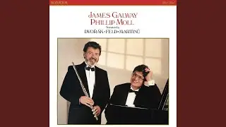 Sonatina in G Major for Flute and Piano, Op. 100: I. Allegro risoluto