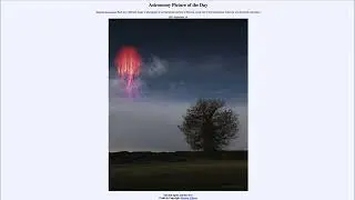 2023 September 18 - The Red Sprite and the Tree