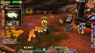 World of Warcraft  My Hunter Pet Collection