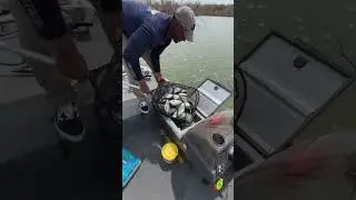 Catching Big Black and White Crappie!