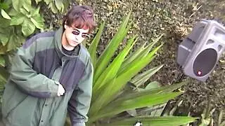 Super Chill Video Game Music DJ Set Next to a Big Plant
