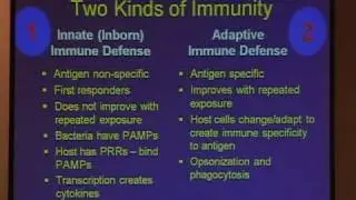 The Science of Inflammation - Part 2.  Inflammation and Immunity. Dr. Lee Ostler