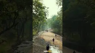 The River Walk of The Pench Tiger Trail | Indiahikes