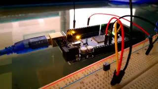 Vorstellung: Temperatursensor