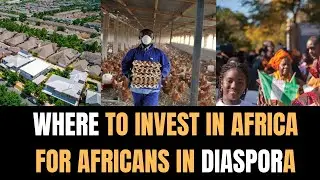 Investing in Africa: Opportunities for Africans in the Diaspora