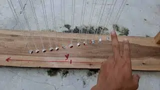 Ondas de pendulos.