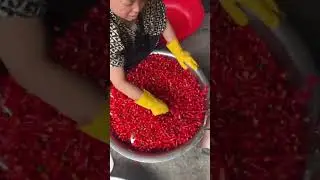 JRC1000 High-Efficiency Commercial Pepper Cutter Machine#ChiliSlicer #PepperSlicer