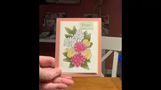 Coloring with BLENDS using the ORNATE STYLE stamp set