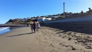 4K DJI Pocket 2 | Island Bay Walk | Wellington, New Zealand | September 2021.