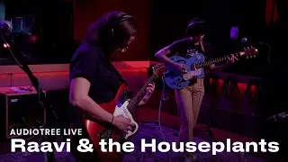 Raavi & the Houseplants - Run Through | Audiotree Live