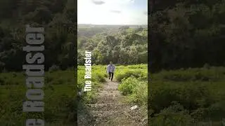 The Roadsterlogs #naturelovers #indianforests #nature #forestsurvey