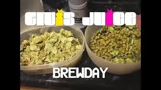 Elvis Juice Clone - Brew Day