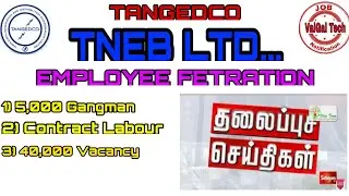 Live News Update TNEB || 5,000 Gangman || ஒப்பந்த தொழிலாளர் ||  40,000 Vacancy ||