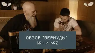 Обзор пуэра от 