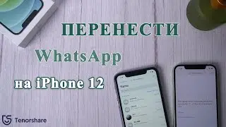 Как перенести WhatsApp со старого iPhone на iPhone 13 (2021)
