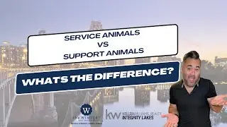 Service Animals vs. Emotional Support Animals: What's the difference?
