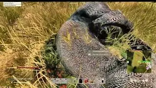 Airdrop with team mate - The Factory - Cherno PVE Only Server