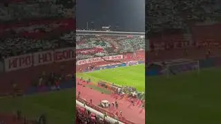CHOREO by Red Star fans (Delije) vs Lille | Europa League #shorts