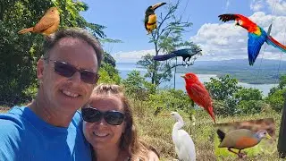 Cortes and Sierpe Costa Rica , Birds Birds Birds