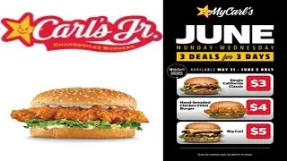 Carl's Jr Hand-Breaded CHICKEN FILLET BURGER and ONION RINGS