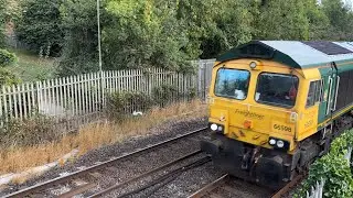 Class 66 | 66598 | Freightliner