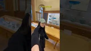 Un mus&eacute;e insolite cach&eacute; &agrave; Paris 🫢 direction l&rsquo;Ecole des Mines #mus&eacute;es #vlog #petitehistoiredelart