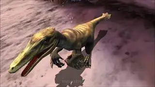 Shotgun Series (Region 7) Dino Hunter: Deadly Shores