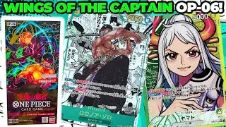 One Piece Wings of The Captain OP-06 Japanese Booster Box OPENING!