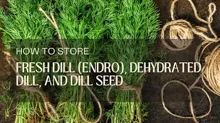 How to store fresh dill (endro), dehydrated dill, and dill seed?