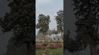 CSA👆 University 👆Kanpur 👆23rd convocation Program CSA university Kanpur Agriculture life🤙
