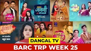 Dangal TV BARC TRP WEEK 25 | Barc TRP Report of this week | Dangal TV