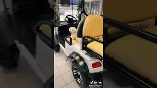 2021 AGT Nomad 2+2 Electric Golf Carts