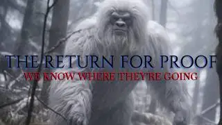 Ohio's Winter Bigfoot: Looking for Evidence of Its Return