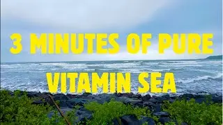 Shrivardhan Beach | A Peaceful Escape on the Konkan Coast 🌊🌅 Meditation