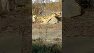 Moi au Zoo