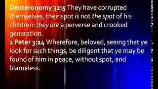 The Fourth Kingdom Part 6, Principalities Part 3,  3 of 7