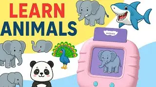 Animal Flashcards for Kids 🐾 | Learn Animal Names & Sounds | Preschool Learning