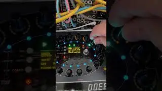 Quick tip on making your arpeggios more interesting #synth #musicproducer #eurorack #fraptools